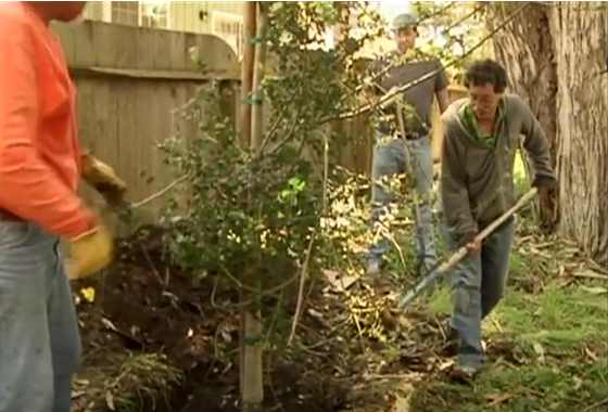 Pacific Grove Monarch Sanctuary Planting 2010