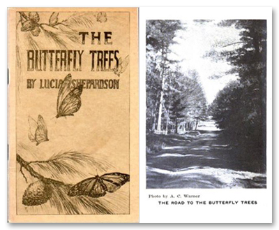 1914 Butterfly Trees by Lucia Shepardson Book Cover