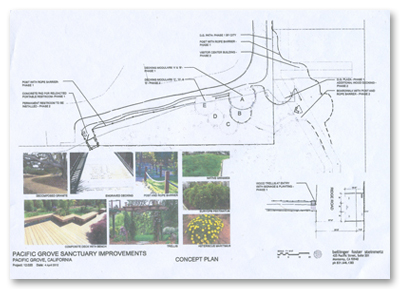 Bellinger Foster Steinmetz Concept Plan